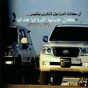 19fe8bd5f735407's profile picture. 