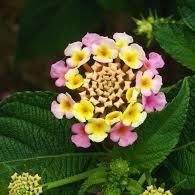 ht_teri's profile picture. 