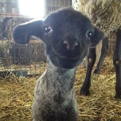 iasilwstr's profile picture. free follow from @xtommosunx