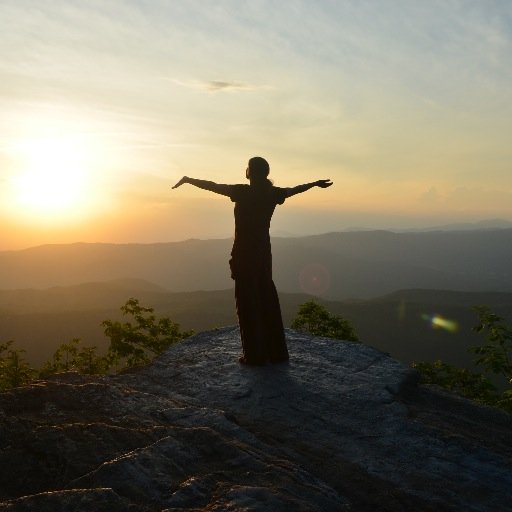 Artist, Woodcarver, Writer  ~Beyond the curtains of our eyes, where you are you and I am me, a place that requires no disguise, a place I like to be...