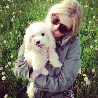 cassieroseberg's profile picture. RC Heli Fans. Here I will share the RC helis I like with you.