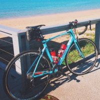 Chonsen (@chonsens) 's Twitter Profile