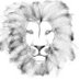 Amalfully (@amalfully) Twitter profile photo