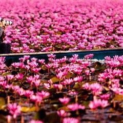 dddygt's profile picture. 