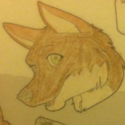 FoxieDrizzle's profile picture. The AD account of @Inthys hope you enjoy jackal bits