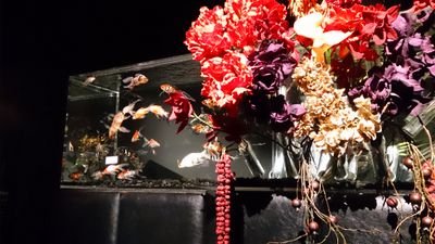腐った成人女性。呟くときはグッズの交換譲渡が主で腐発言はしません。
色々なジャンルに出没する。無言フォローすみません。
鬼滅、FGO、パンドラハーツ、ヒロアカ、文アル、ダイヤ等々。