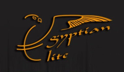 The leader in Providing all business solutions In Egypt  using all recent methods and latest technology