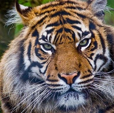 kaafi060's profile picture. follow me you nerd