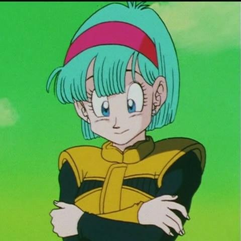 Excuse you?! I'm the one that's the Scientist AND Genius around here! Oh and one More thing, BE Jealous of my looks you Bimbo! Bulma Out! ✌