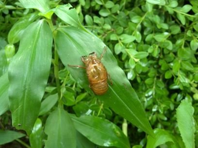 rkfkxksl's profile picture. 