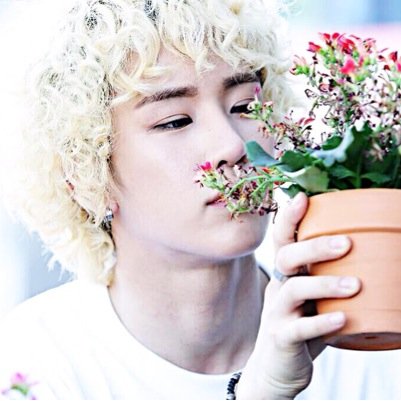 B-JOO Toppdogg(탑독) บีจูทาสหมาบู #บานชื่นแฟม #BLG ❤️TOPPKLASS