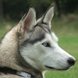 E1Stinson's profile picture. The smallest oceans still make big waves.