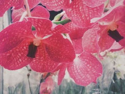 masichkairisha's profile picture. 