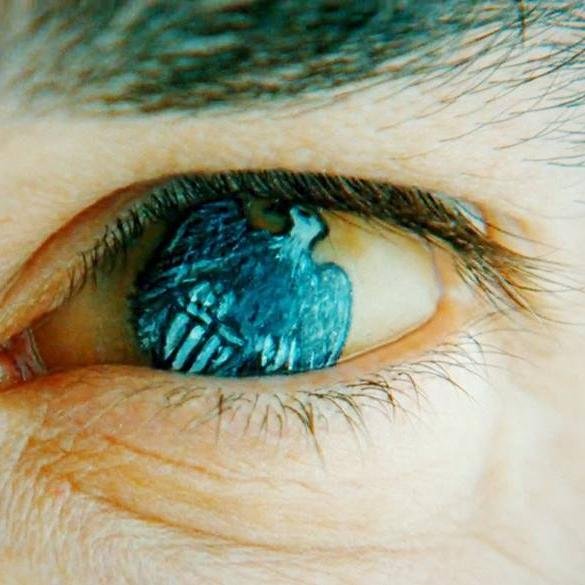 « Spectateur du désespoir »