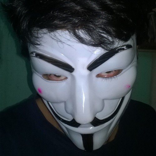 Beneath this mask is an idea. And ideas are bulletproof.
