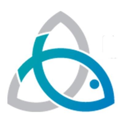 E3 Ministry Group offers consultation and resources in the areas of: Faith Sharing, Leadership Development, Hospitality, Children & Youth Ministry, Stewardship,