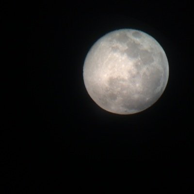 campfirez_soft's profile picture. .