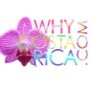 Costa Rica Vacations, Cost Rica, Costa Rica Tours, Traveling to Costa Rica, Costa Rica Resorts, Costa Rica Vacation Packages
