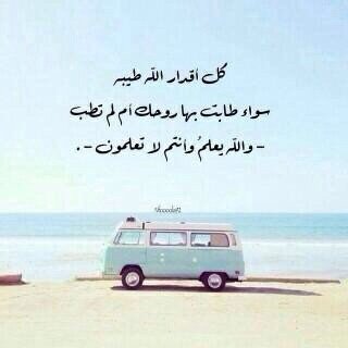 مافيه بايو .