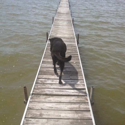 yourewastedlife's profile picture. You will never be happy if you continue to search for what happiness consists of. You will never live if you are looking for the meaning of life. -Albert Camus