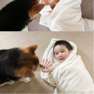 취업란 앞의 꺽이는 이십대