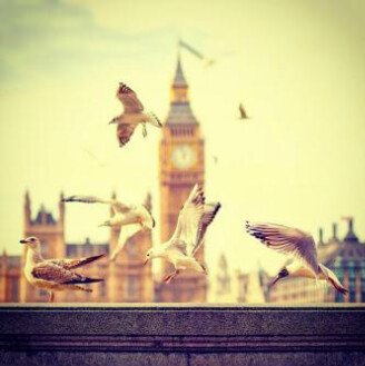 3MRAN♥