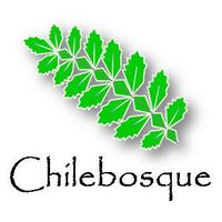 Chilebosque (@chilebosque) 's Twitter Profile Photo