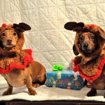 70370f2b01b5436's profile picture. Acadienne de la Baie