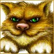 Кактус - это глубоко разочарованный в жизни огурец.