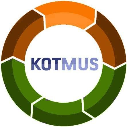 VP - Engineering (IT)