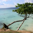 Claudio de Almeida - @Claudio21al - Twitter