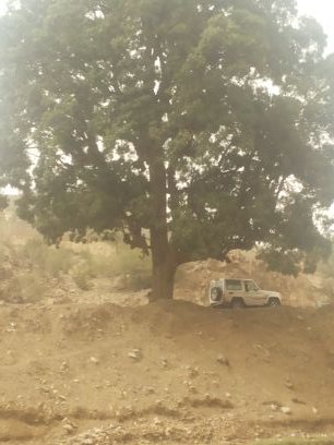 الرغبه في ايجاد انثى صادفه كتومه
