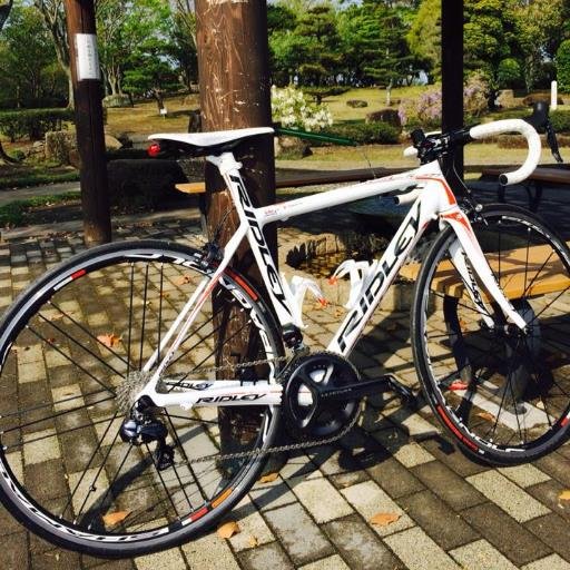 イトトモ 東堂君が乗ってるリドレーダモクレスispは廃番だしフェニックスalはありきたりだから形が似てるヘリウム13年モデル買っちゃった と思ってる人 残念 ヘリウムは奈良山理学園灼熱のスプリンター大粒健士とお揃いなんだよッ Http T Co