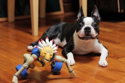 TACKマンさんのプロフィール画像