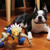 TACKマン (@trans_am_tack) 's Twitter Profile