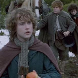 I am a Hobbit of the Shire, son of Paladin II thain.ones.I am part of the Company of the Ring.childish and unintelligent.trip to Minas Tirih.  	1390 C. C.