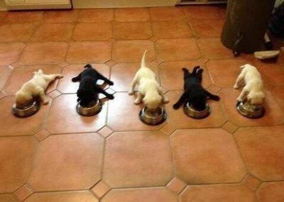 khoffman218's profile picture. 