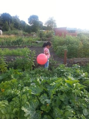 My pride and joy is my family  and my allotment.