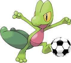 Youtuber: Fifa 14 y Pokemon. Canal Youtube:Mr.Treecko(mistertreecko@gmail.com)