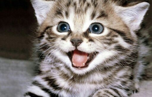 CoxJamie568's profile picture. 