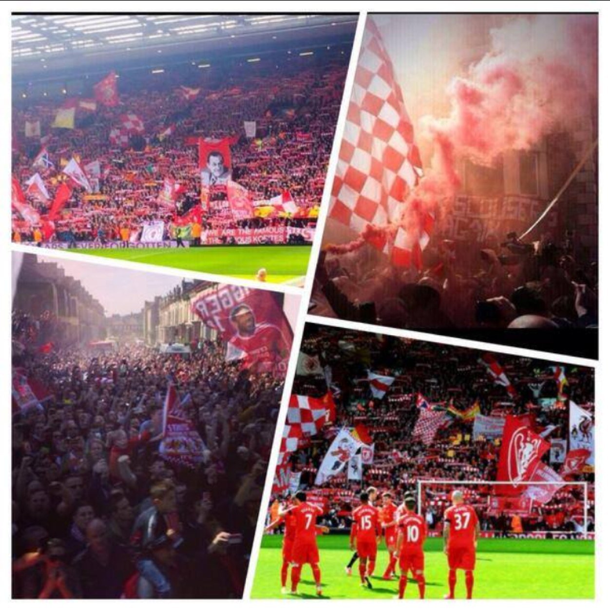 Massive Liverpool supporter from Denmark. YNWA