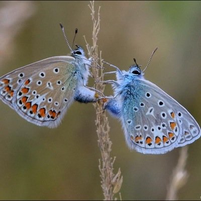 DoraWijnker's profile picture. 