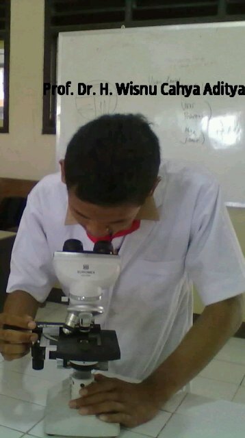 wisnu cahya aditya