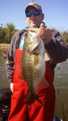 msylvester10's profile picture. 