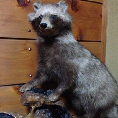 テツメット 当たる当たらないは別として 夢占い結構面白い 笑 テツメット 当たる当たらないは別として 夢占い結構面白い 笑