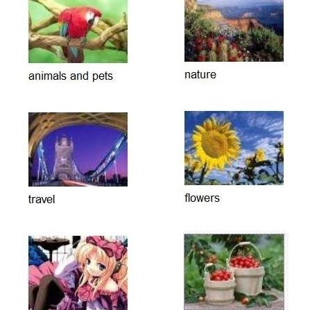 Jigsaw Puzzles Online. Love dogs and cats and all pets. Fan of nature. Dog trainer.
#dogs #cats #nature #dog #training