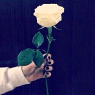 استغفرالله واتوب إليه اللهم انصر اخوننا في سوريا وبورما                                        #النصر عشقييي 3