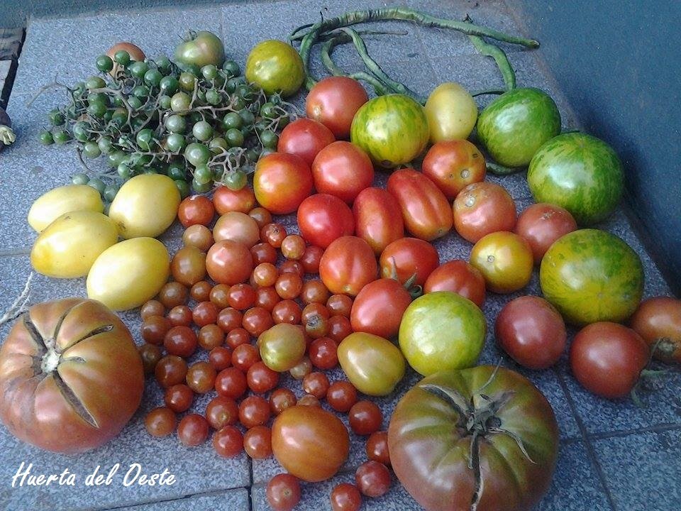 huertadeloeste's profile picture. Huertas familiares para cambiar el mundo.