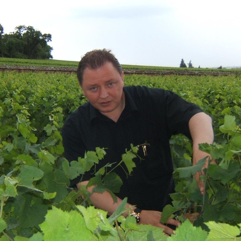 PRODUCTEUR VINS DE BOURGOGNE ALOXE CORTON-SAVIGNY LES BEAUNE-POMMARD-VOLNAY-MEURSAULT-LADOIX BLANC-CHARLEMAGNE-