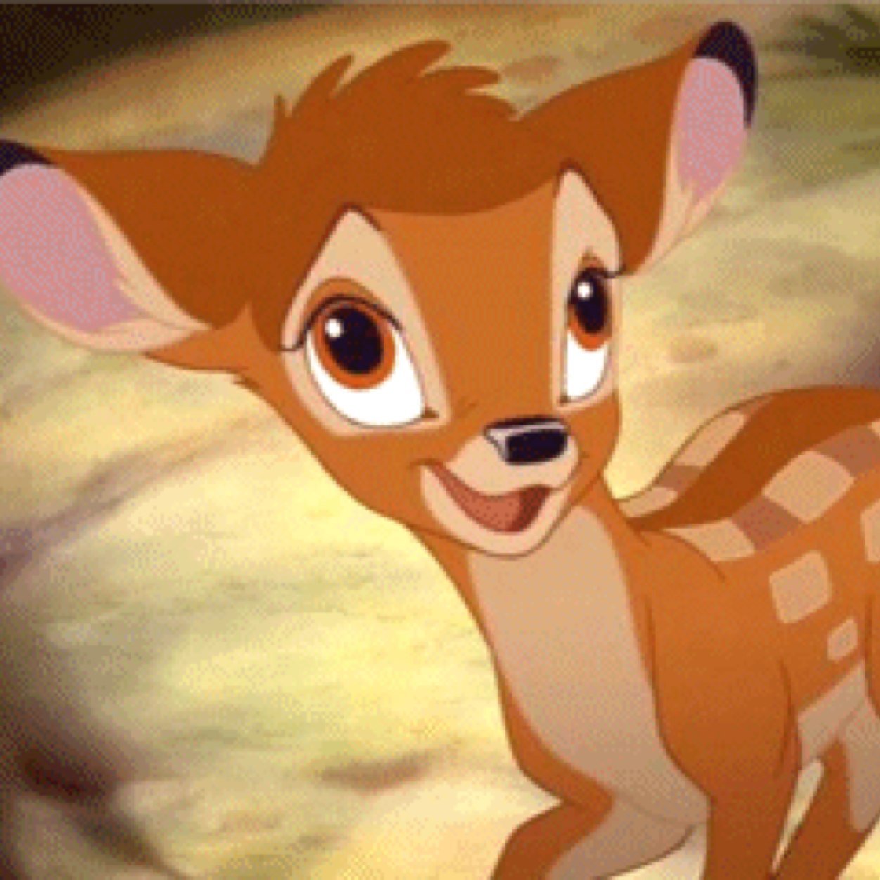 BambiThePrince's profile picture. Hello im Bambi the prince of the forest, i was raised by a she wolf and i live with her and the death pack...